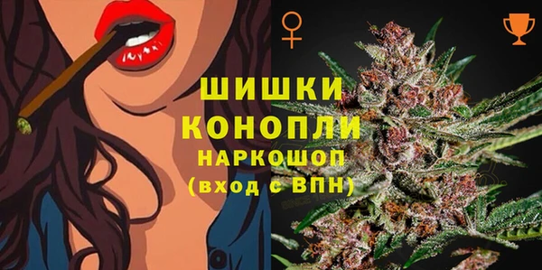 сатива Дмитров