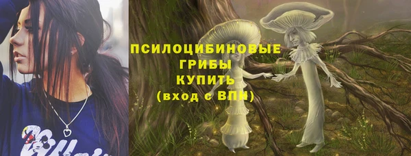 дурь Дмитровск