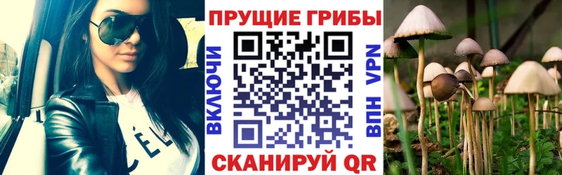Псилоцибиновые грибы мицелий  Купить  Касли 